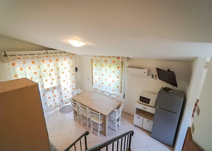 Girasole * بيبيوني